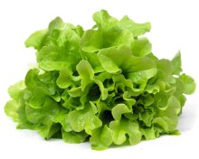 img-1: Салат Нефрит - ООО «Семена Тут»