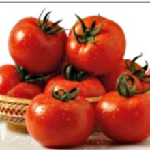 Томат Интерленд F1 - ООО «Семена Тут»