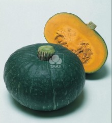 Тыква Свит Мама F1 - ООО «Семена Тут»