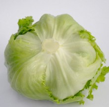 Салат Таймс - ООО «Семена Тут»