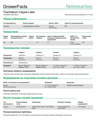 img-2: Трахелиум Лейк Форест Пепл [1000 драже] - ООО «Семена Тут»