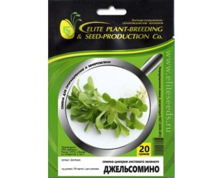 img-1: Цикорий листовой зеленый Джельсомино МЗ - ООО «Семена Тут»